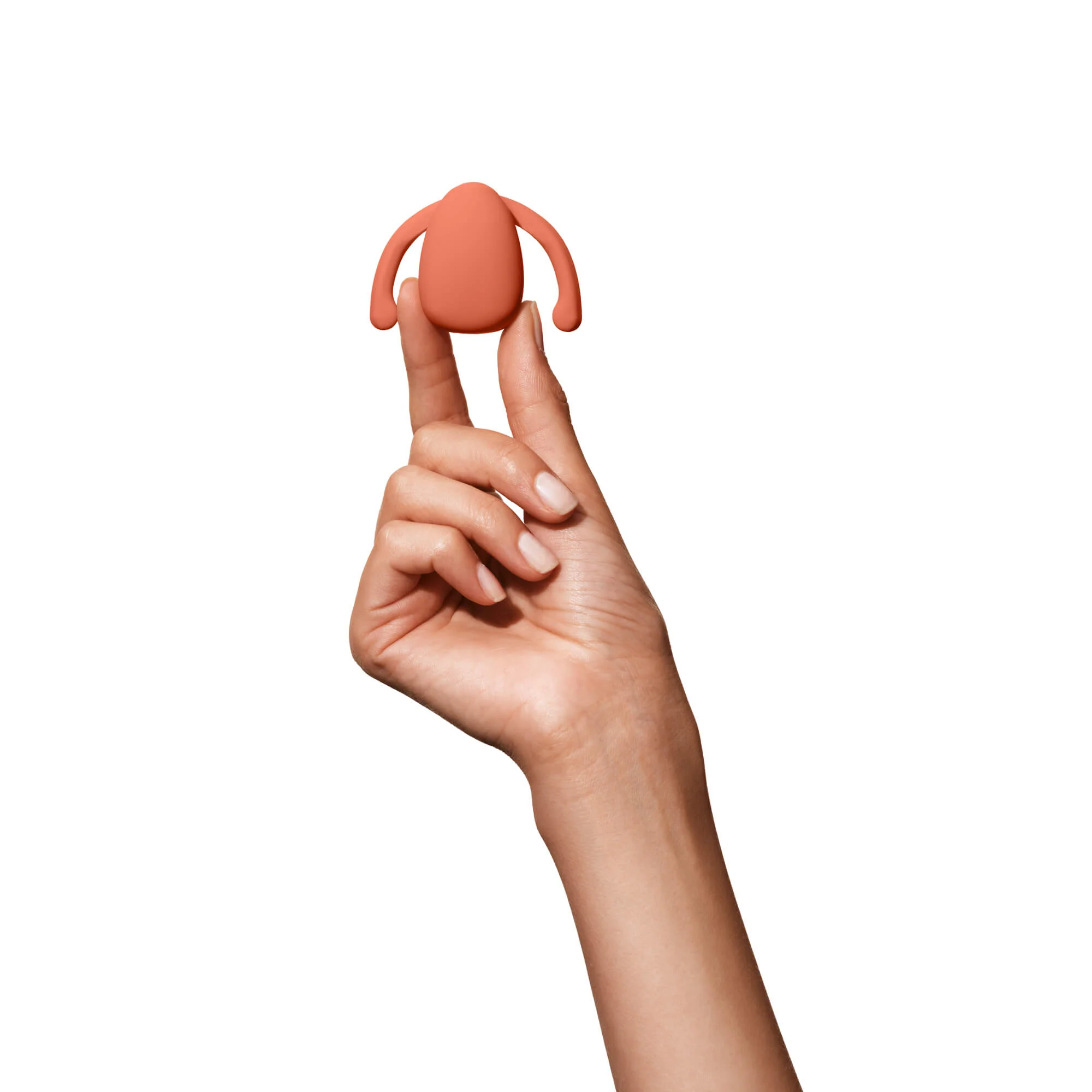 Miniatuur 2